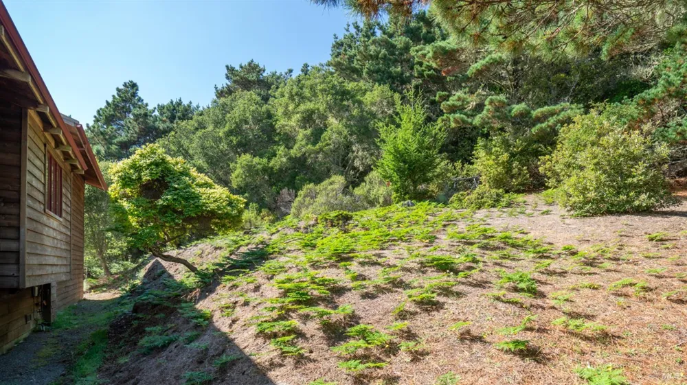 90 Dover Road Inverness, CA 94937