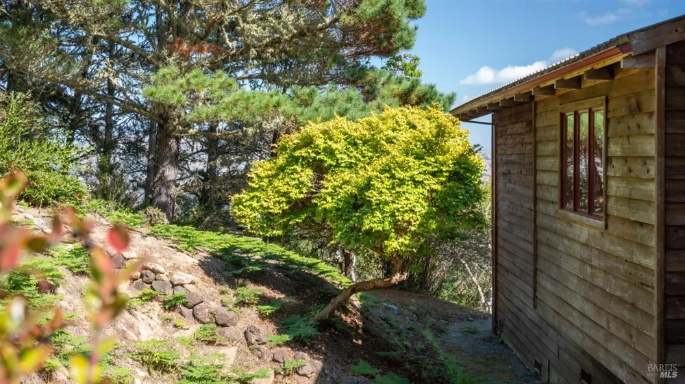 90 Dover Road Inverness, CA 94937