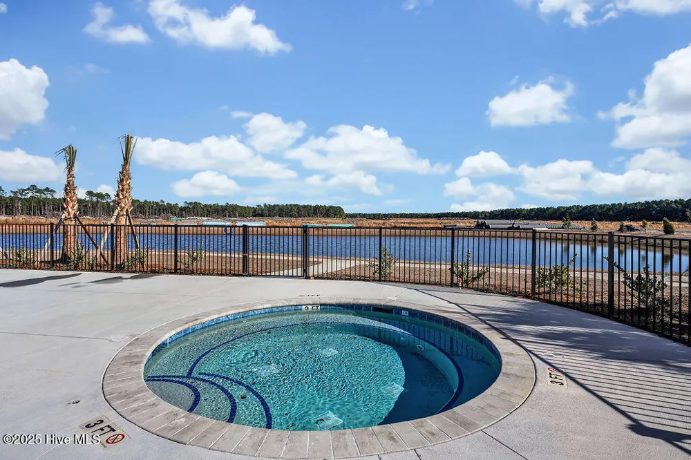 4325 Rough Stalk Lane #Lot 297 Castle Hayne, NC 28429