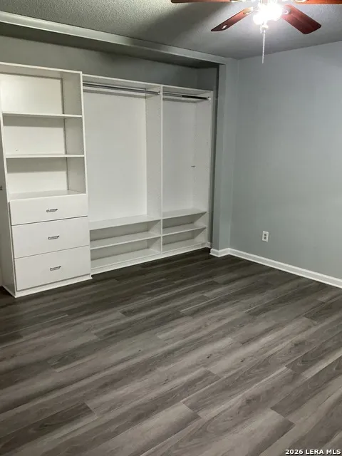 3616 William Scarbrough Schertz, TX 78154