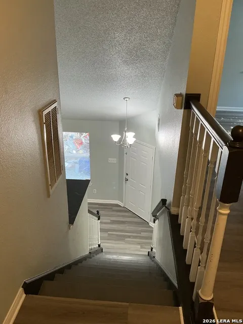 3616 William Scarbrough Schertz, TX 78154