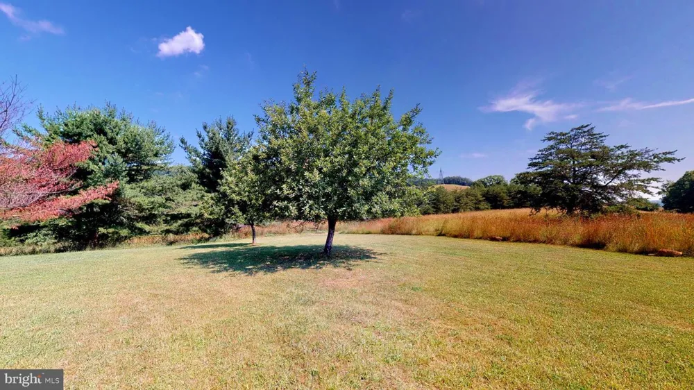 4038 MOUNT OLIVE Rio, WV 26755