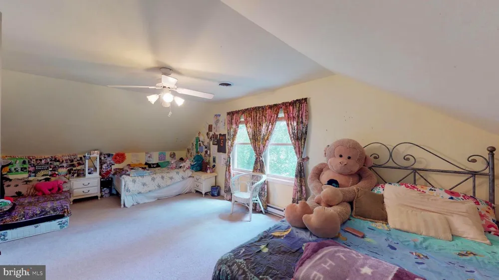 4038 MOUNT OLIVE Rio, WV 26755