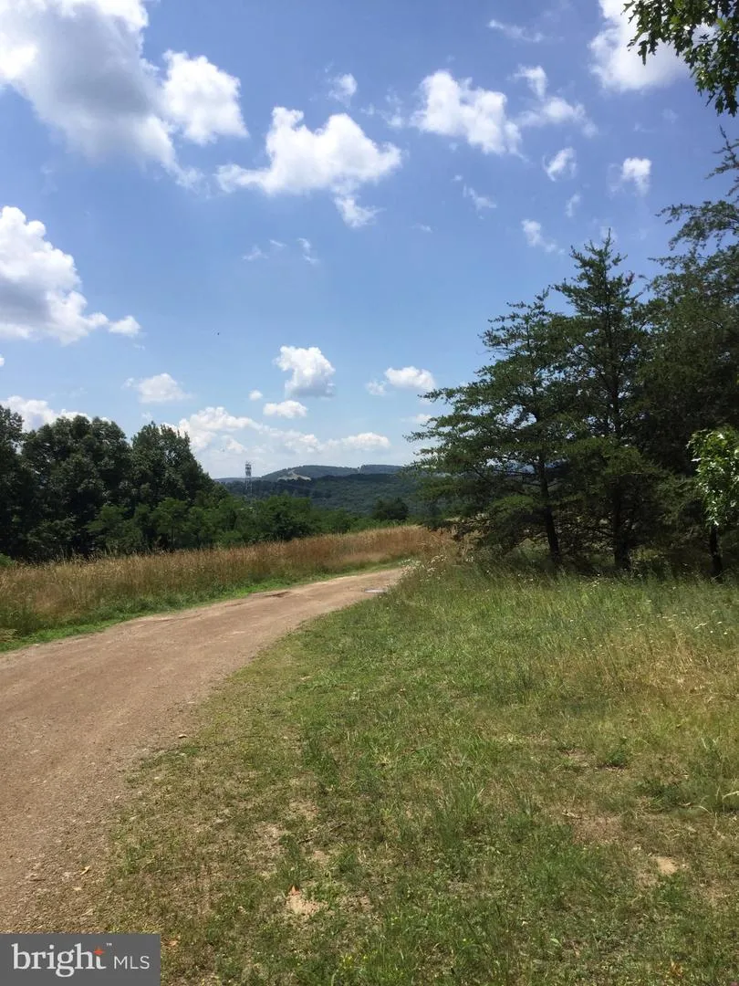 4038 MOUNT OLIVE Rio, WV 26755