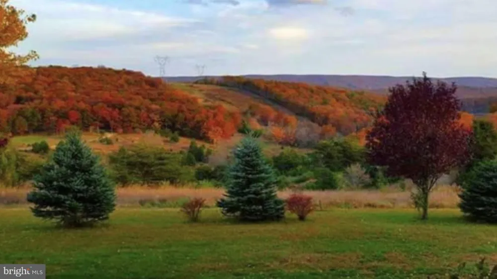 4038 MOUNT OLIVE Rio, WV 26755