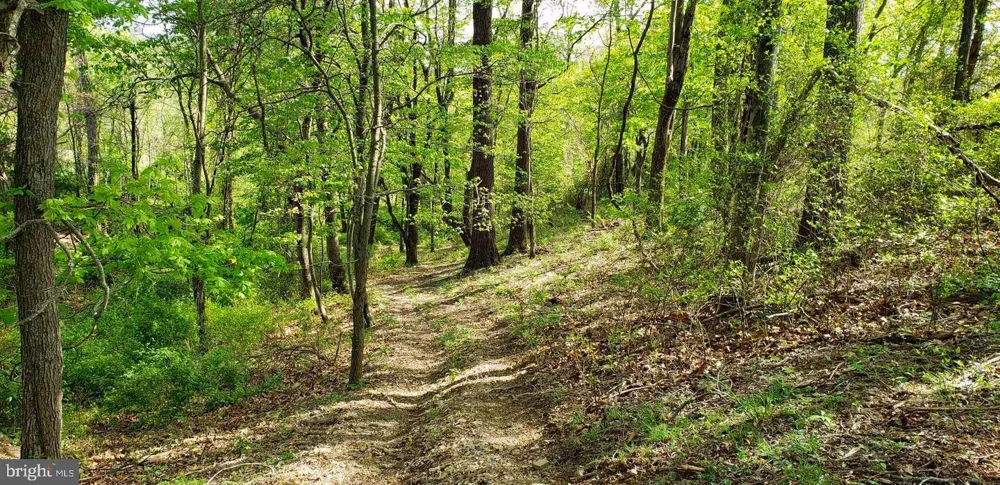 4038 MOUNT OLIVE Rio, WV 26755