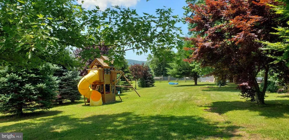 4038 MOUNT OLIVE Rio, WV 26755