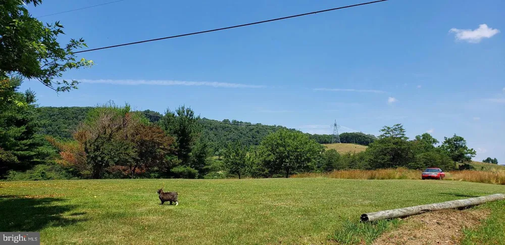 4038 MOUNT OLIVE Rio, WV 26755