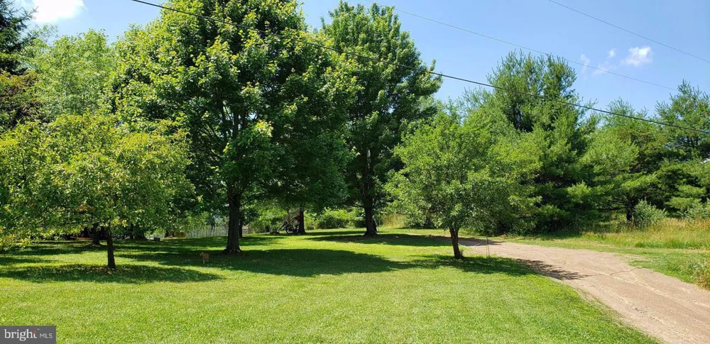 4038 MOUNT OLIVE Rio, WV 26755