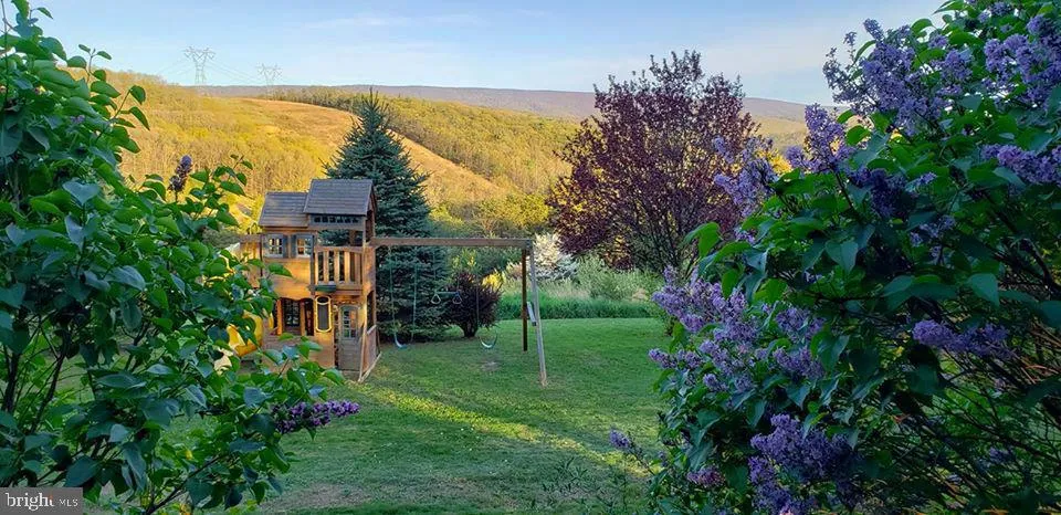 4038 MOUNT OLIVE Rio, WV 26755