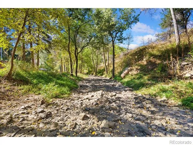 50 Cedar Brook Lane Loveland, CO 80537