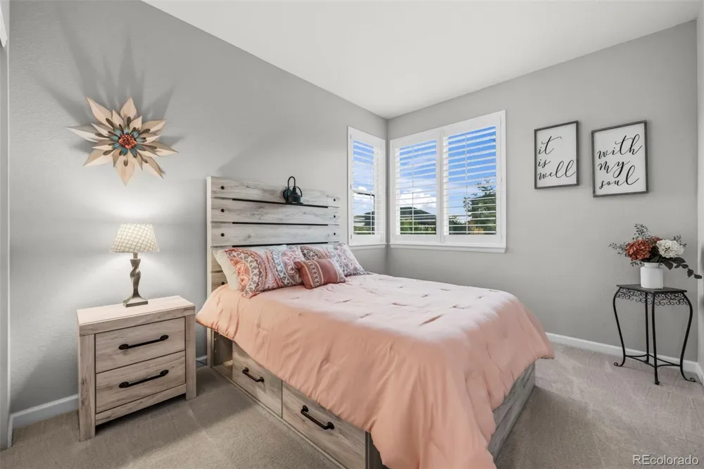 8973 Birch Run Lane Parker, CO 80134
