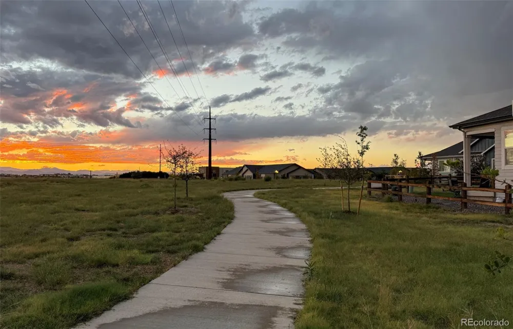 8973 Birch Run Lane Parker, CO 80134
