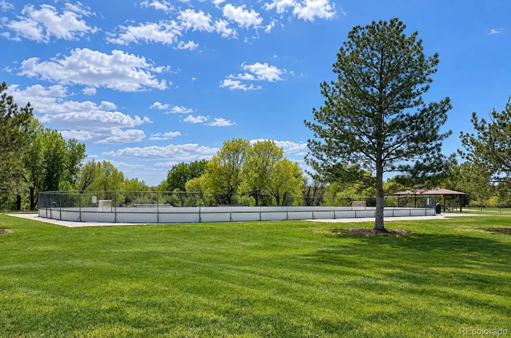 8973 Birch Run Lane Parker, CO 80134