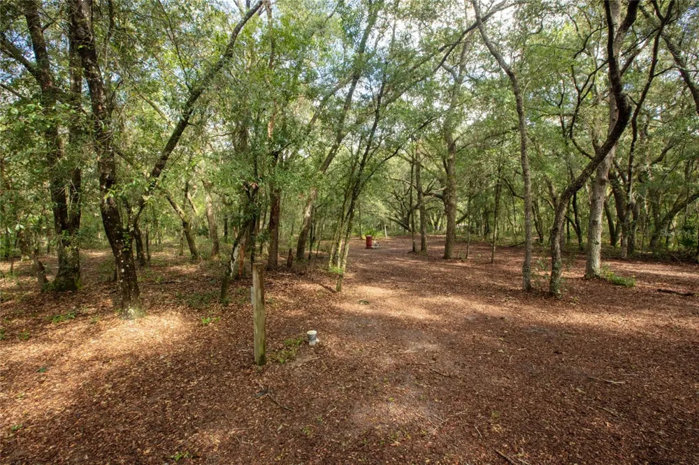 5590 JENKINS LOOP DRIVE Keystone Heights, FL 32656
