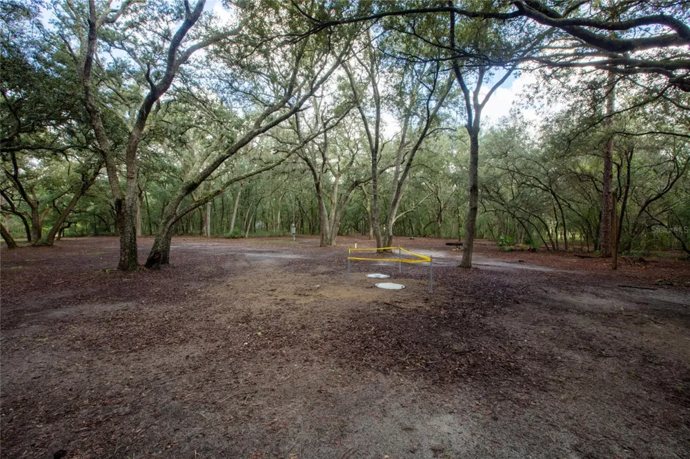 5590 JENKINS LOOP DRIVE Keystone Heights, FL 32656