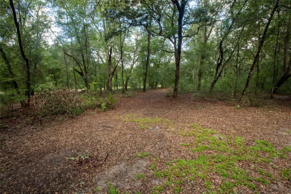 5590 JENKINS LOOP DRIVE Keystone Heights, FL 32656