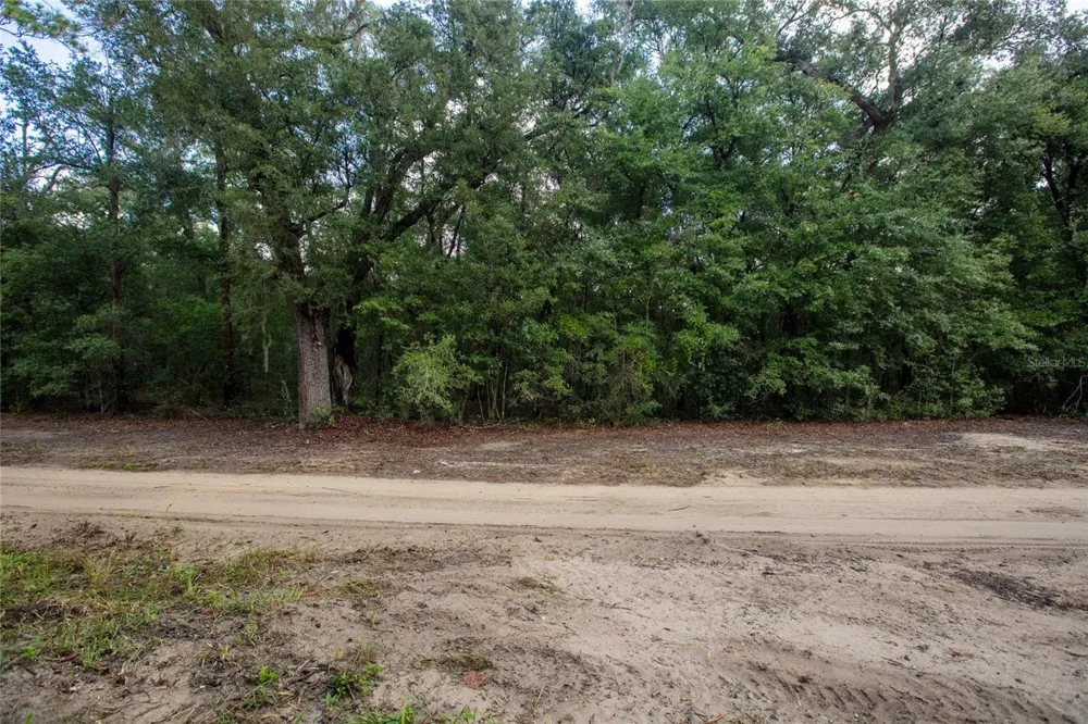 5590 JENKINS LOOP DRIVE Keystone Heights, FL 32656
