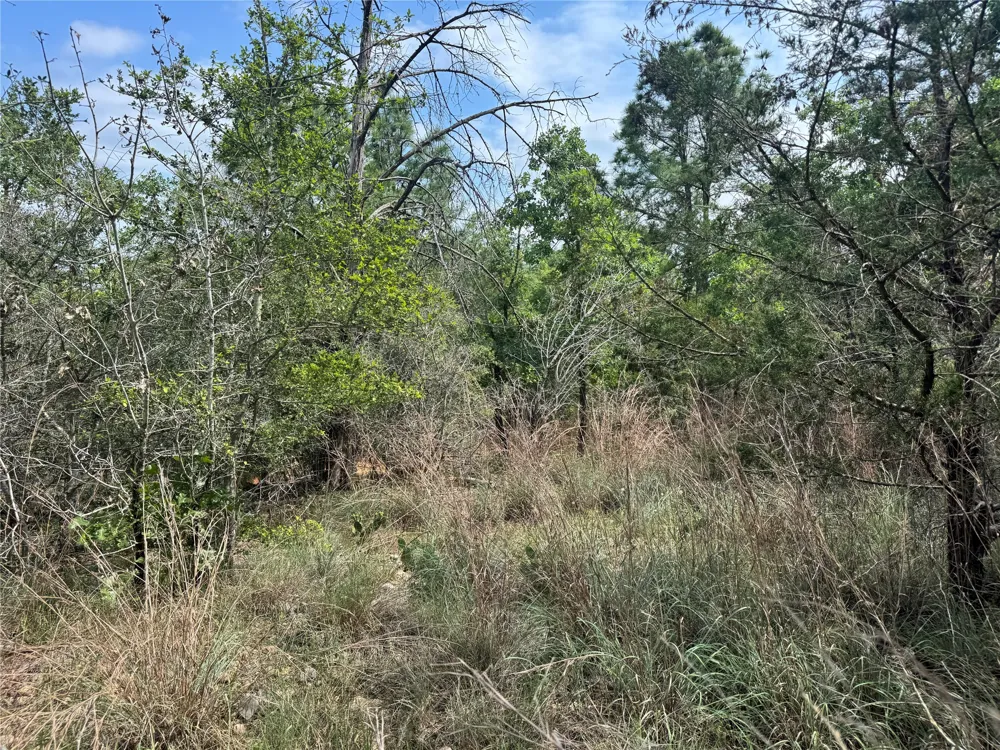 1263 Hanauma Drive Alum Creek, TX 78602
