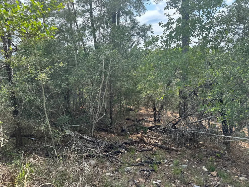 1263 Hanauma Drive Alum Creek, TX 78602