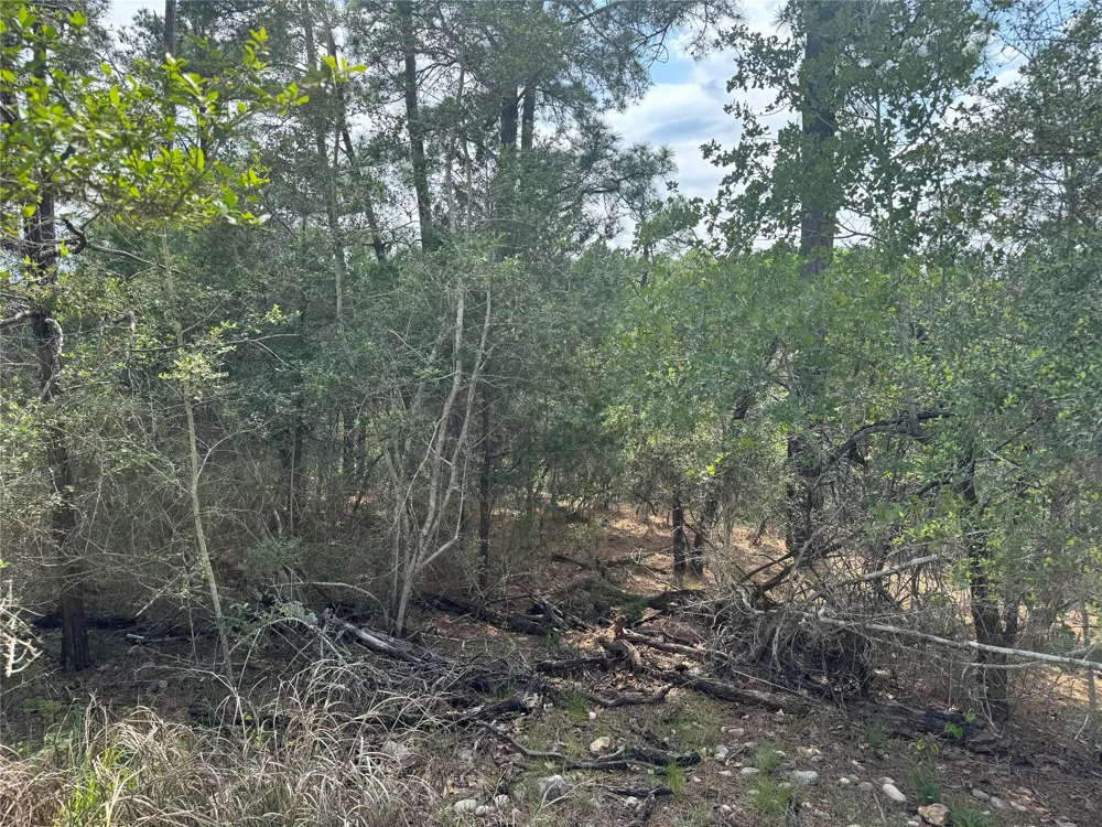 1263 Hanauma Drive Alum Creek, TX 78602
