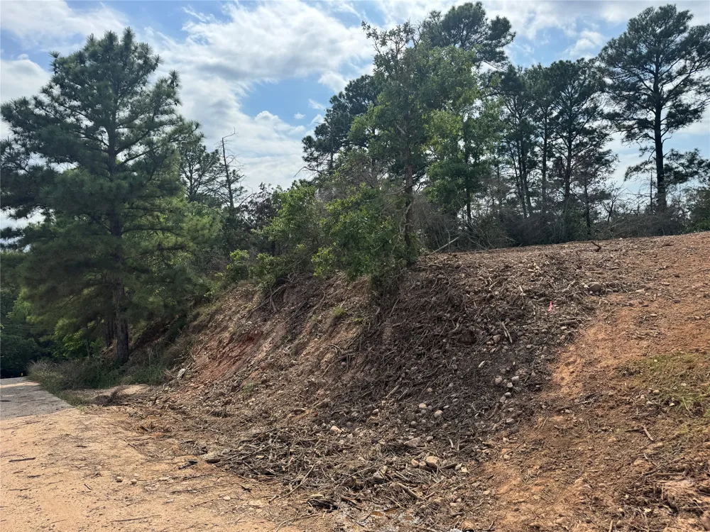 1263 Hanauma Drive Alum Creek, TX 78602