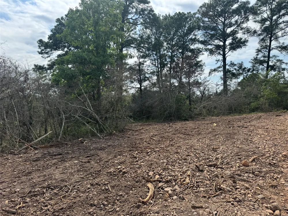 1263 Hanauma Drive Alum Creek, TX 78602