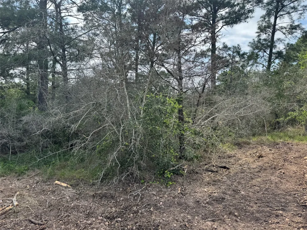 1263 Hanauma Drive Alum Creek, TX 78602