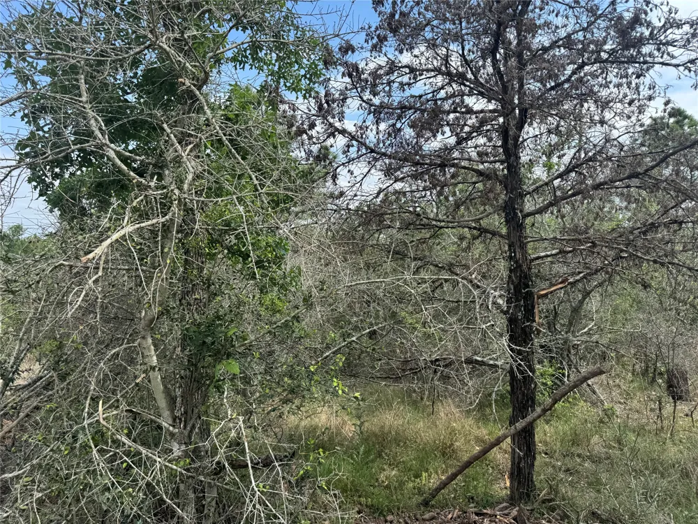 1263 Hanauma Drive Alum Creek, TX 78602
