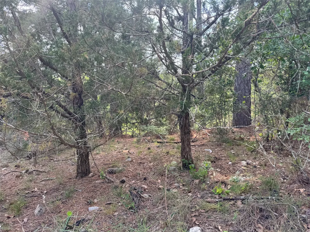 1263 Hanauma Drive Alum Creek, TX 78602