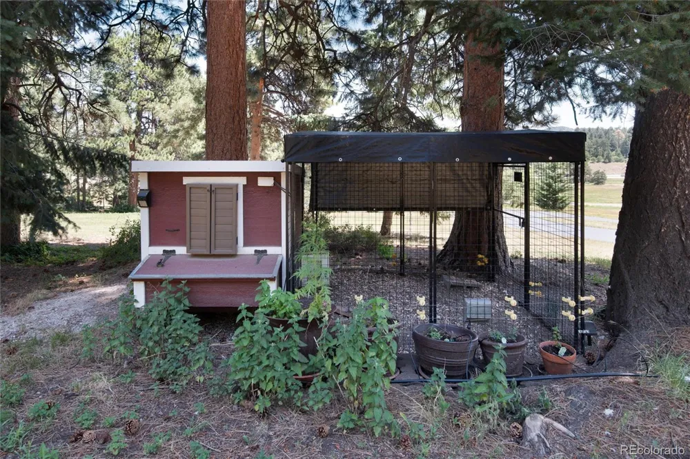 8171 S Homesteader Drive Morrison, CO 80465