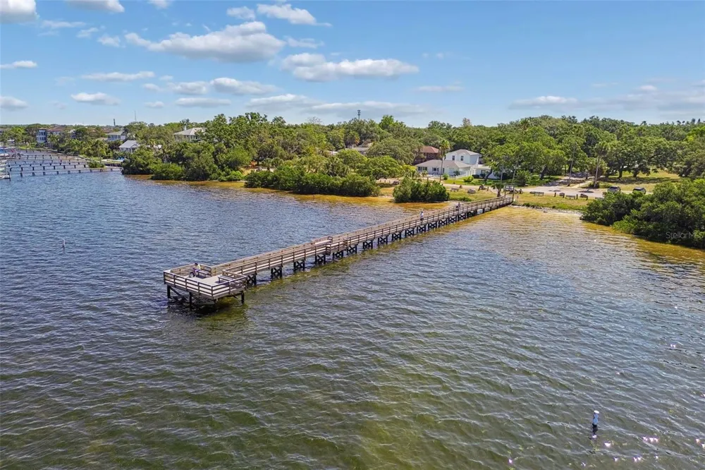 389 GEORGIA AVENUE Crystal Beach, FL 34681