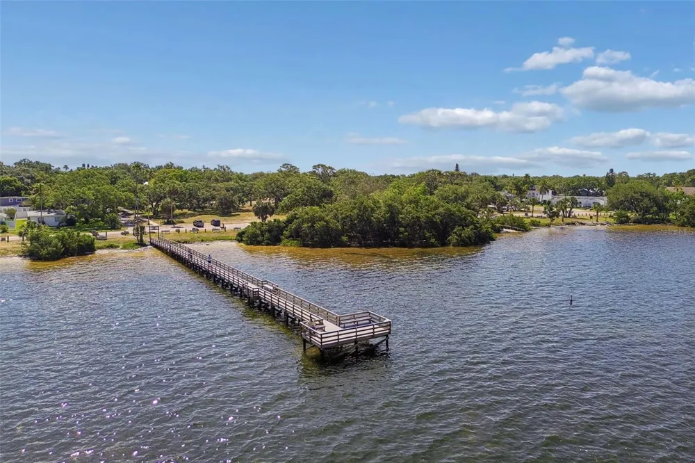 389 GEORGIA AVENUE Crystal Beach, FL 34681