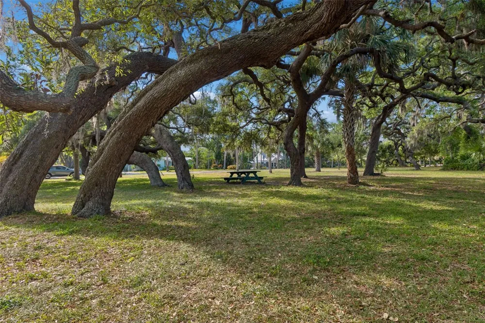 389 GEORGIA AVENUE Crystal Beach, FL 34681