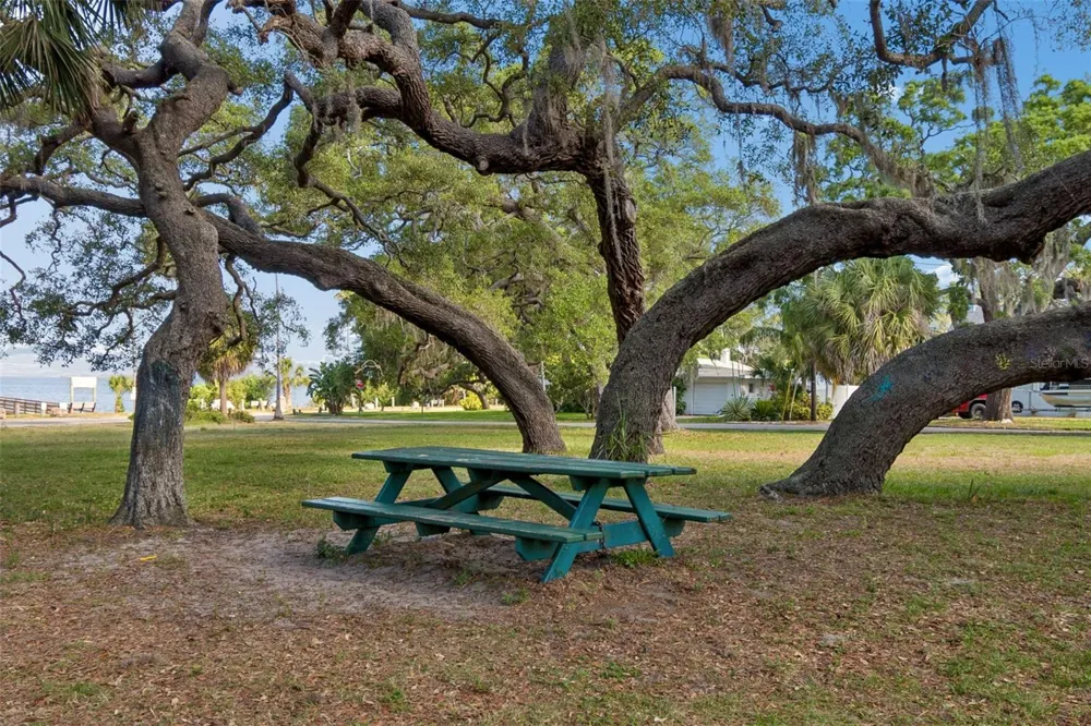 389 GEORGIA AVENUE Crystal Beach, FL 34681