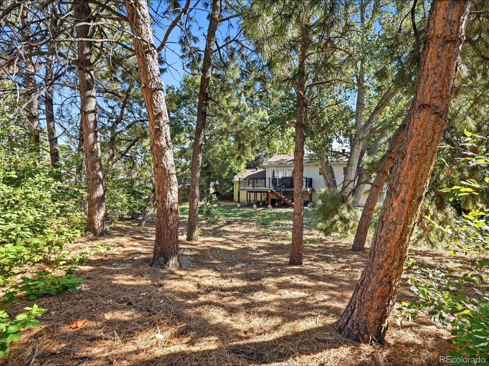 2127 S Ivory Street Aurora, CO 80013