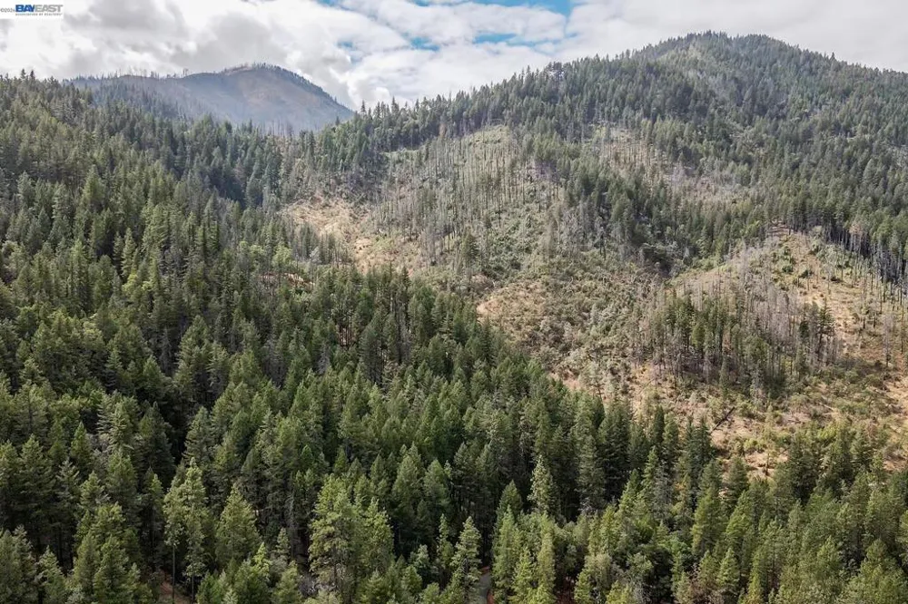 2130 Wintu Pass Rd. Junction City, CA 96048