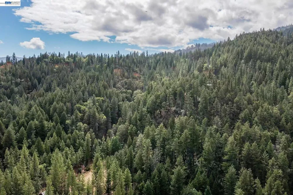2130 Wintu Pass Rd. Junction City, CA 96048