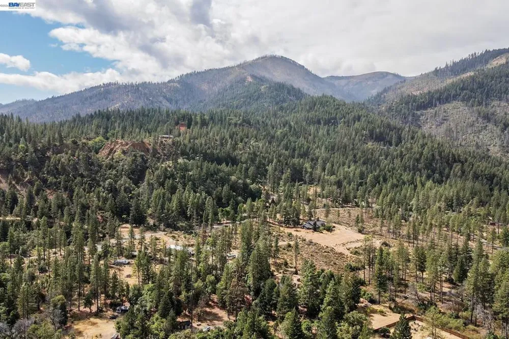 303 Bear Springs Rd. Junction City, CA 96048
