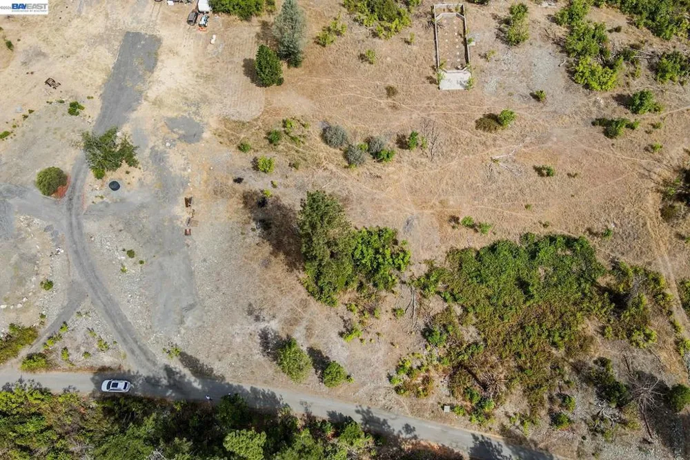 303 Bear Springs Rd. Junction City, CA 96048