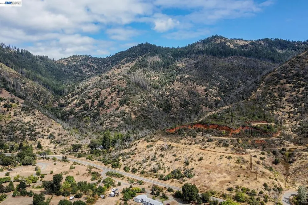 303 Bear Springs Rd. Junction City, CA 96048