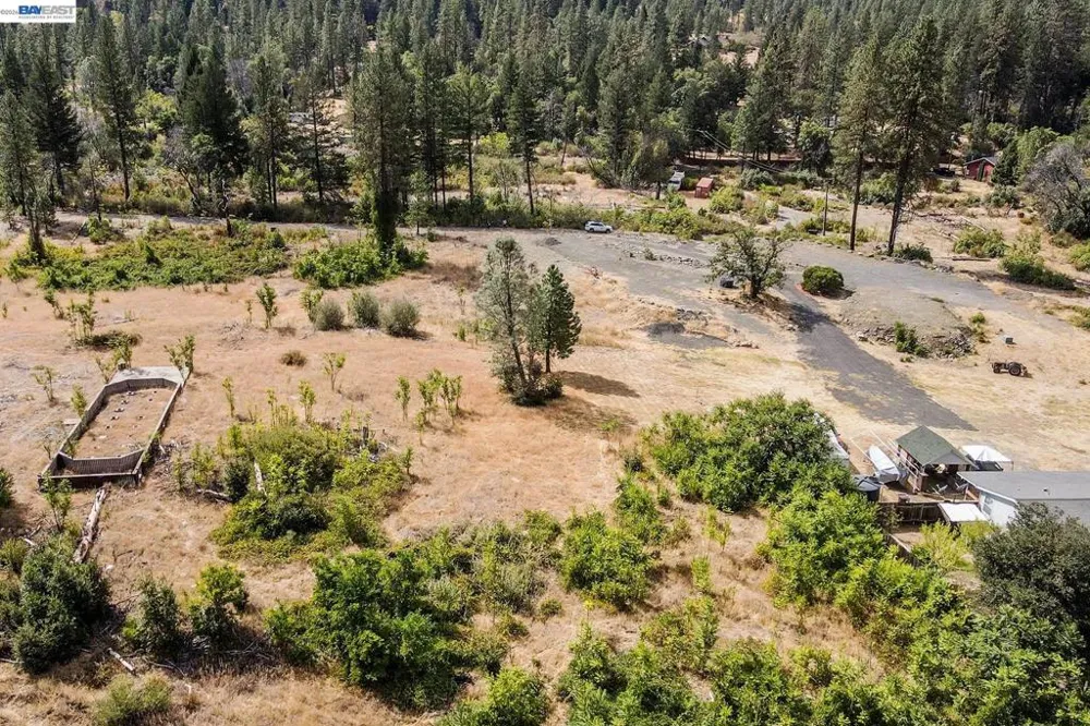 303 Bear Springs Rd. Junction City, CA 96048
