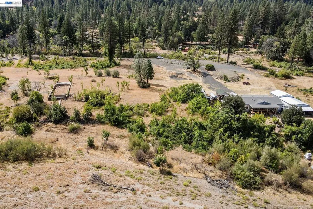 303 Bear Springs Rd. Junction City, CA 96048