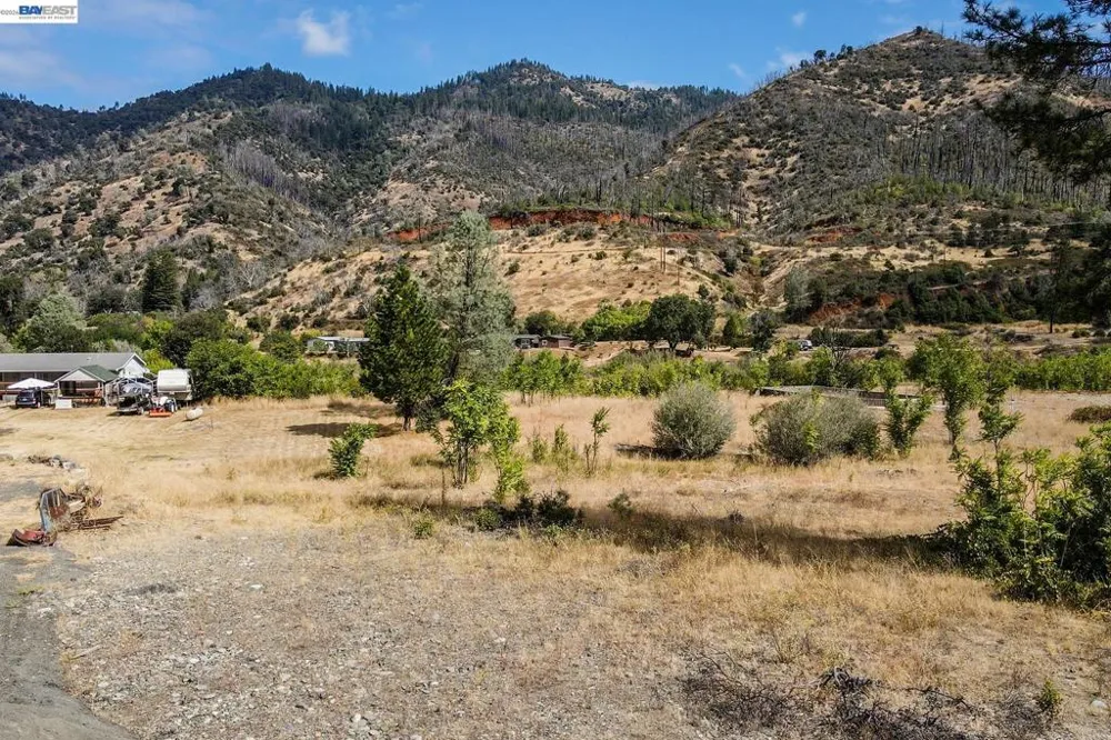 303 Bear Springs Rd. Junction City, CA 96048