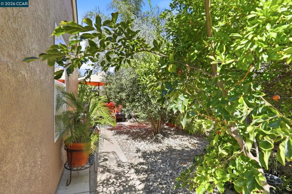 25 Sparrow Hawk Ct. Oakley, CA 94561