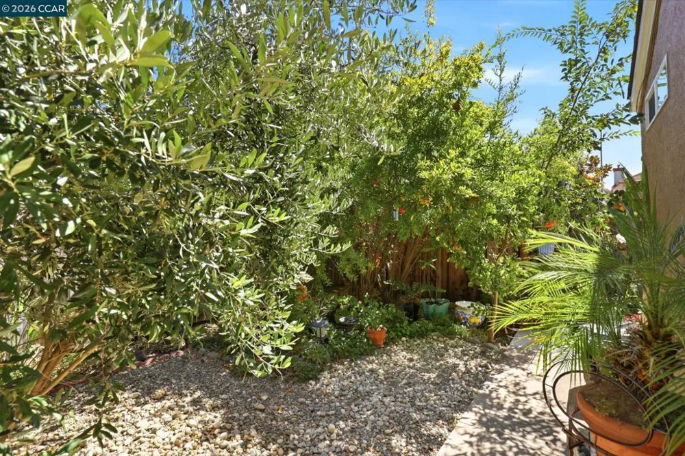 25 Sparrow Hawk Ct. Oakley, CA 94561