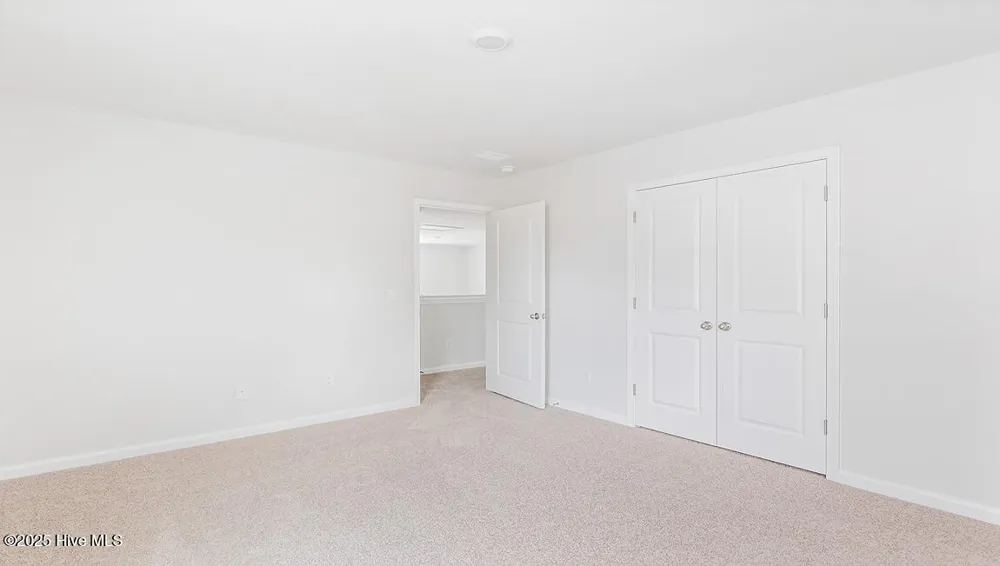 1106 Pampas Grass Drive #Lot 339 Castle Hayne, NC 28429
