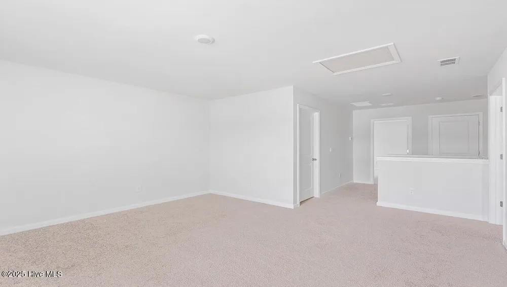 1106 Pampas Grass Drive #Lot 339 Castle Hayne, NC 28429