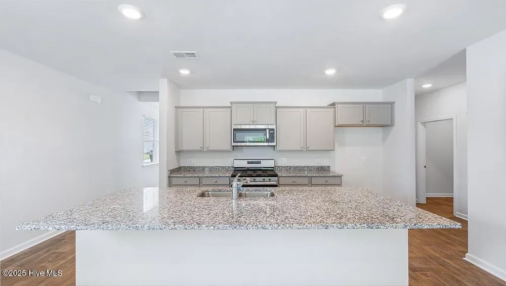 1106 Pampas Grass Drive #Lot 339 Castle Hayne, NC 28429