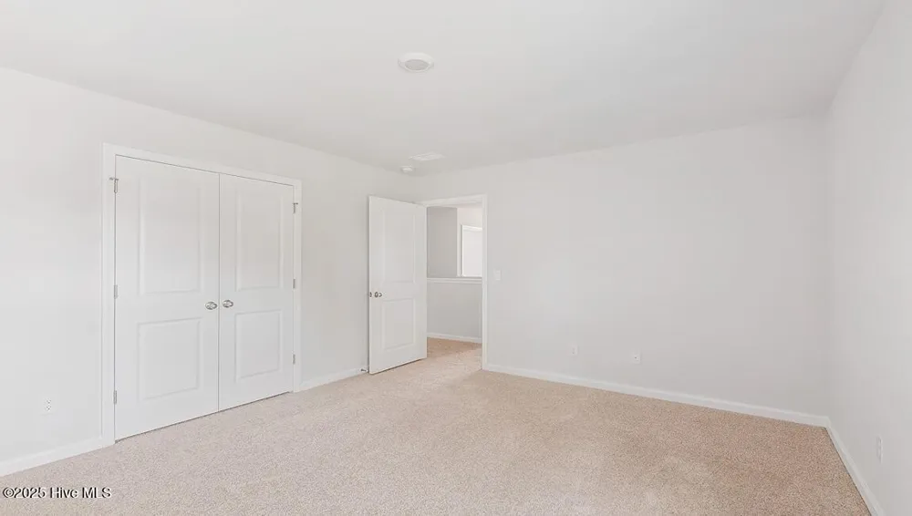 1106 Pampas Grass Drive #Lot 339 Castle Hayne, NC 28429